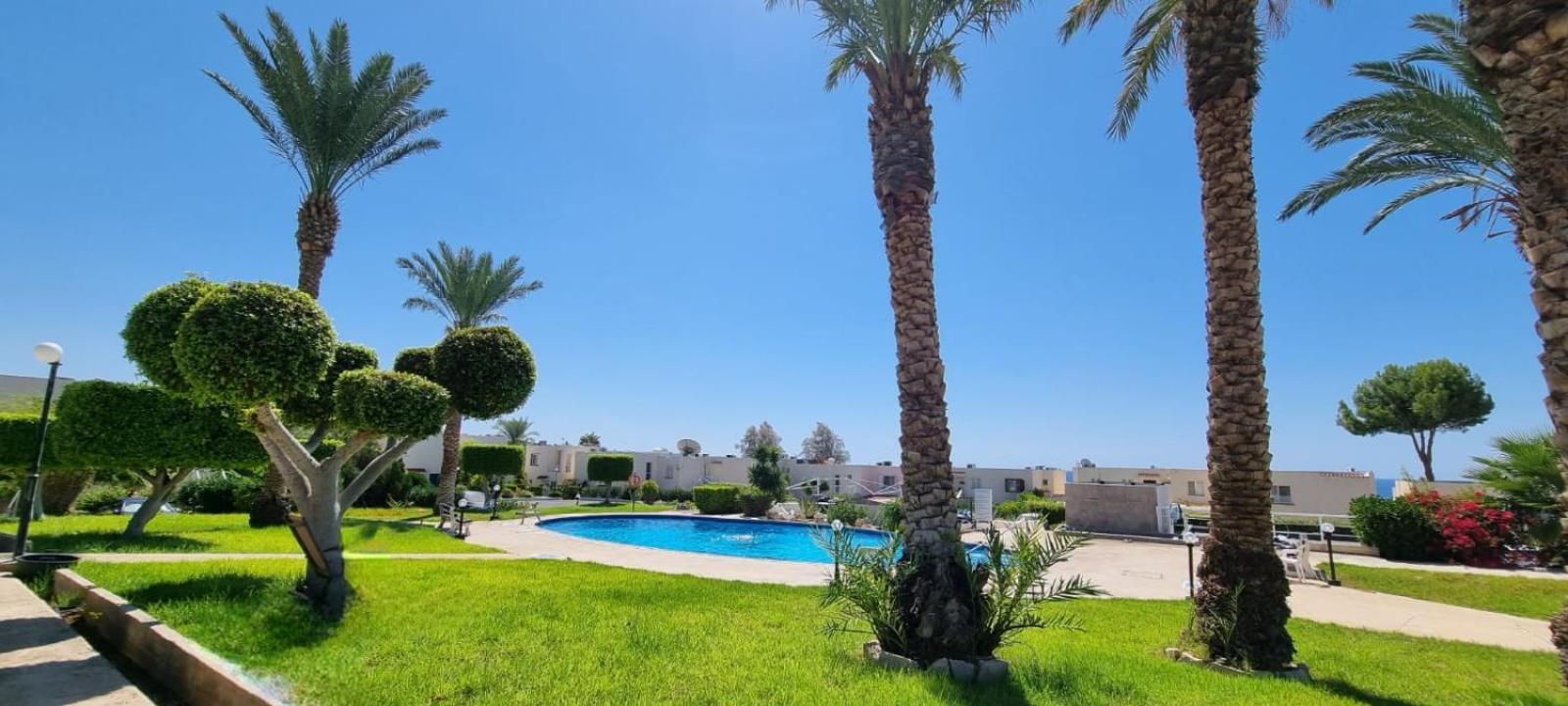 Modern Seaview Townhouse In Coral Bay (Adults Only) Apartamento Peyia Exterior foto