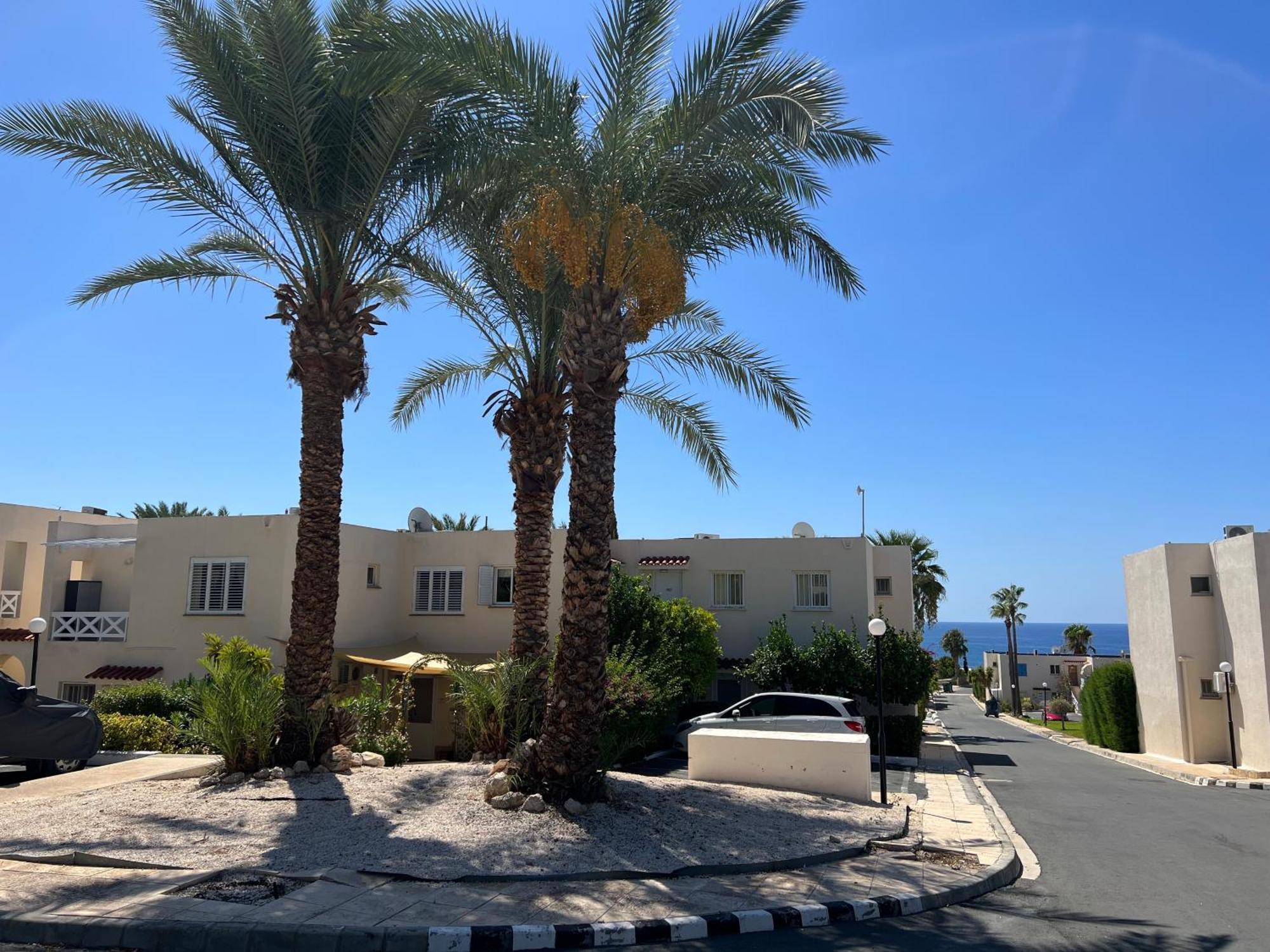 Modern Seaview Townhouse In Coral Bay (Adults Only) Apartamento Peyia Exterior foto