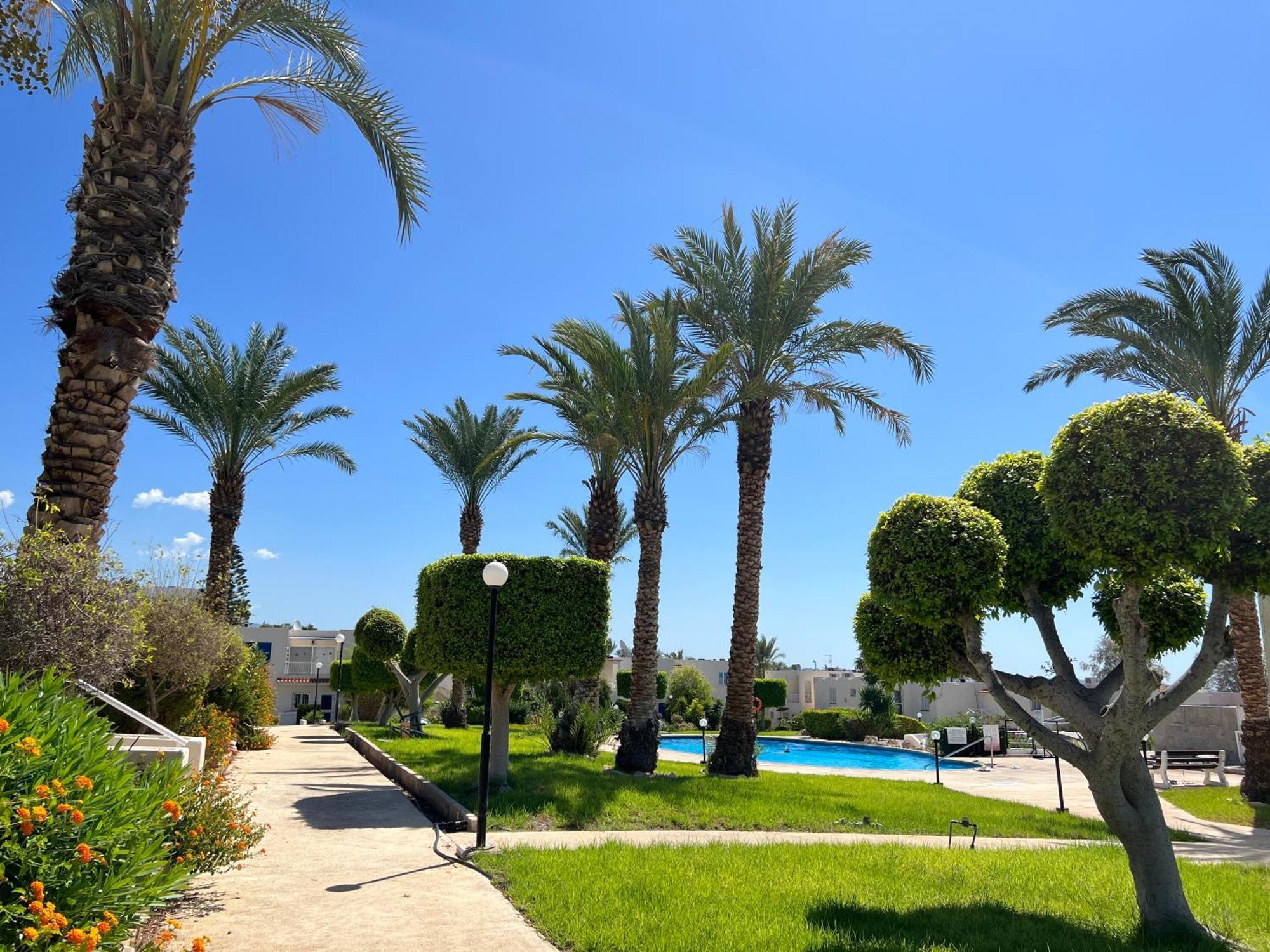 Modern Seaview Townhouse In Coral Bay (Adults Only) Apartamento Peyia Exterior foto